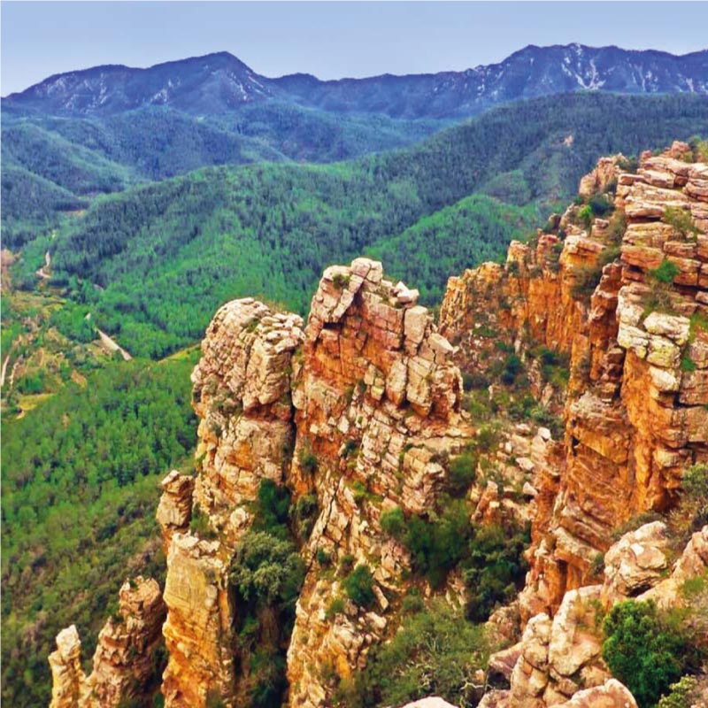 Los órganos de Benitandús, Sierra Espadán.