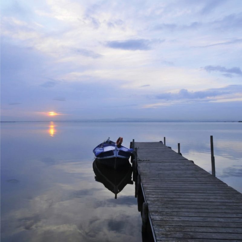 Valencia - La Albufera